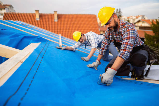 Steel Roofing in Melrose Park, IL